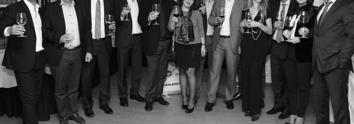 Board members (left to right): Arthur, David, Paul, Hayk, Gagik, Irina, Karen, Ara, Georgi, Diana, Ashot, Elina, Aharon
