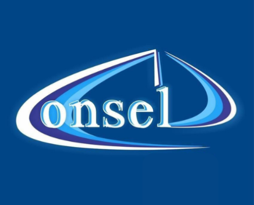 Consel LLC